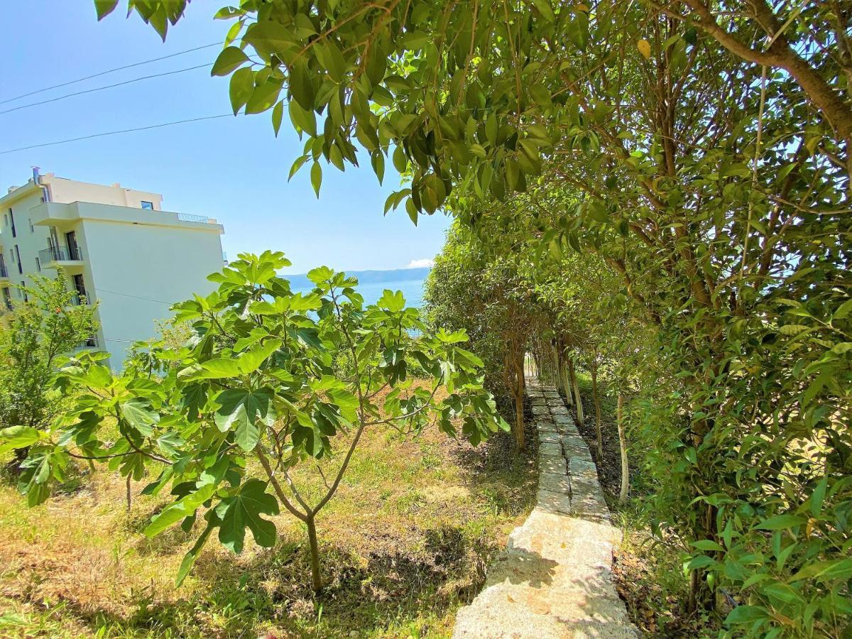 Ramo'S Cozy Beachside Haven With Panoramic Views - 1St Vlorë Esterno foto