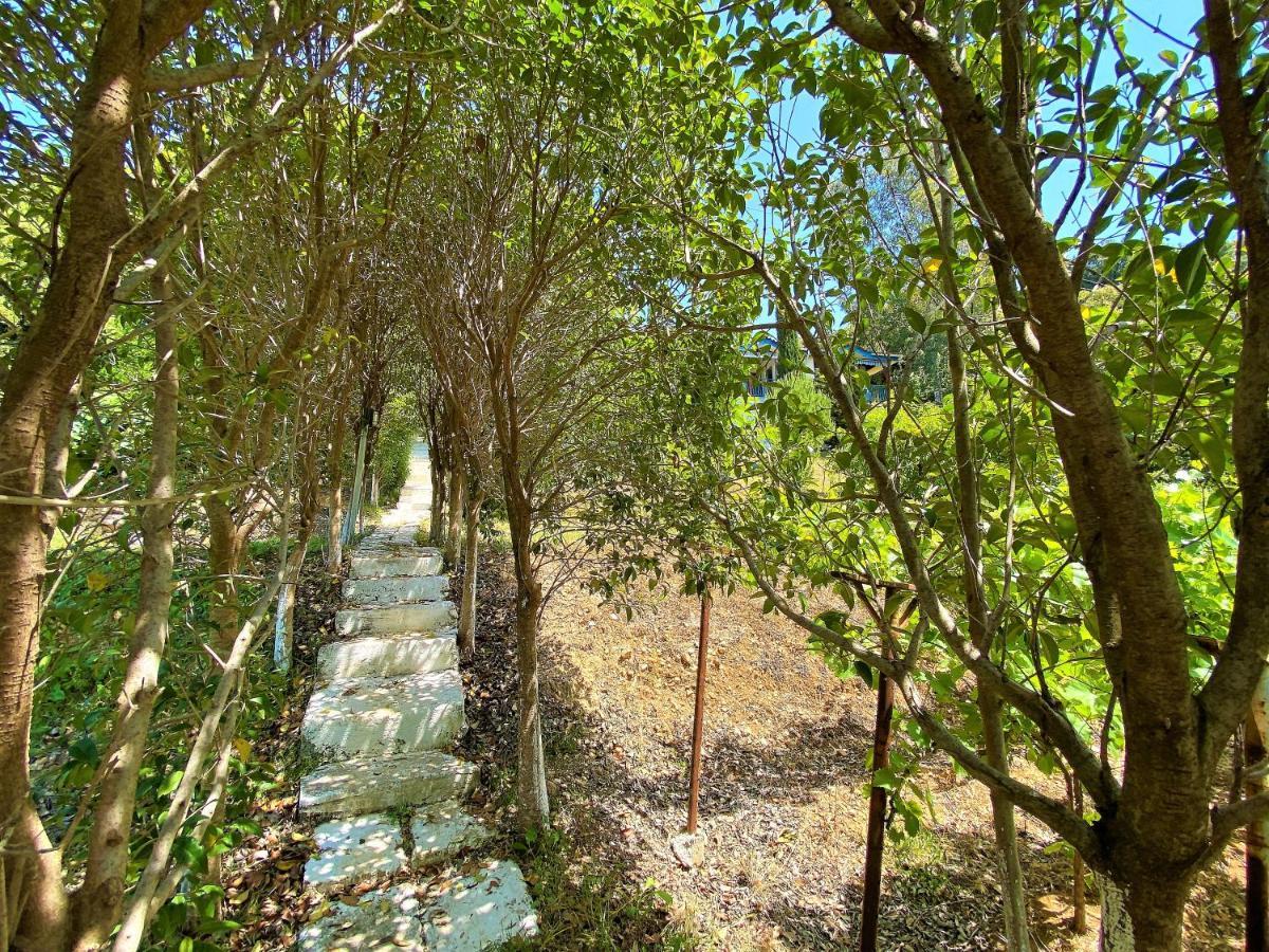 Ramo'S Cozy Beachside Haven With Panoramic Views - 1St Vlorë Esterno foto